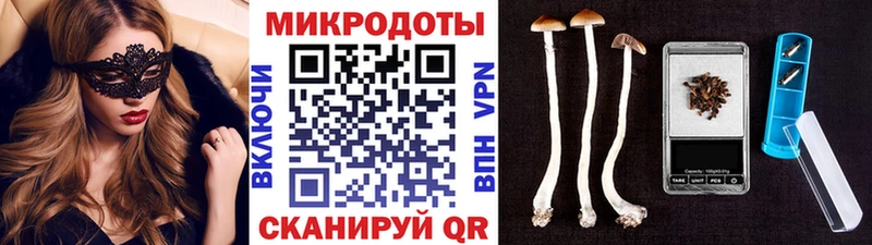 Купить закладки  Бор  Галлюциногенные грибы Magic Shrooms 